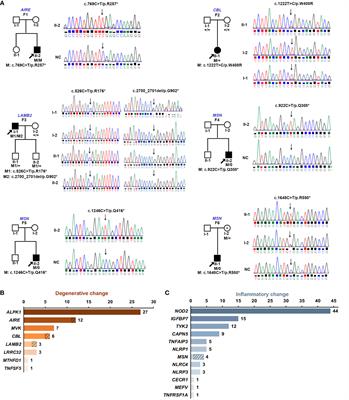 Retinopathy as an initial sign of hereditary immunological diseases: report of six families and challenges in eye clinic